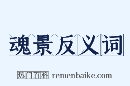 魂景反义词是什么意思的图片